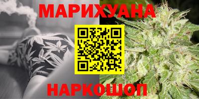 индика Шебекино