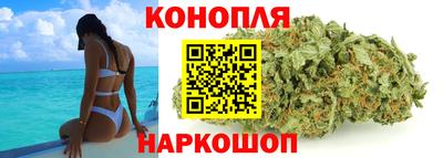 индика Шебекино