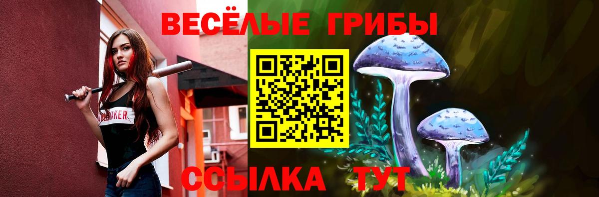 Богородск  Галлюциногенные грибы Psilocybine cubensis  Вход с VPN 